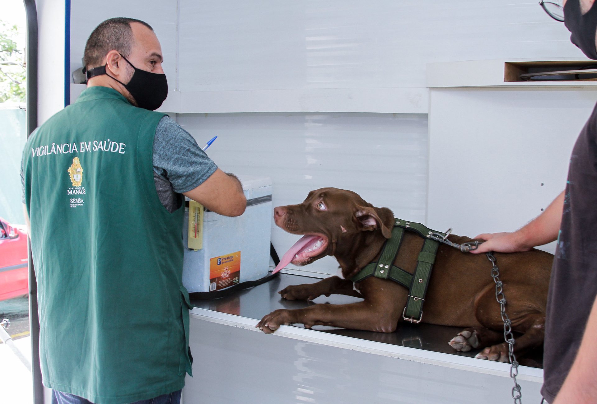 Unidade móvel do CCZ realiza vacinação antirábica animal - Fotos: João Viana / Semcom vacina antirábica