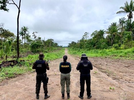 Atividades ilegais de garimpo no interior da Terra Indígena Yanomami, no estado de Roraima são alvos de operações do Ibama e PF - Foto: Divulgação/ Ibama 