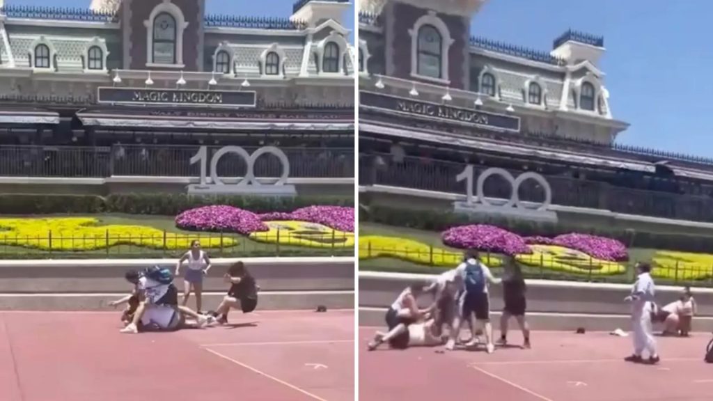 Briga na Disney: visitantes trocam socos por causa de espaço para foto - Foto: Reprodução/Twitter @StephBuffamonte