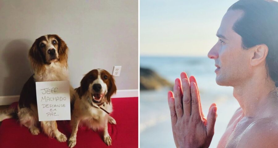 Jeff Machado tratava os cachorros como filhos - Foto: Reprodução/Instagram @jeffmachadocosta