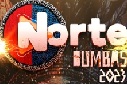 Logo Festival Norte Bumbás - Foto: Reprodução