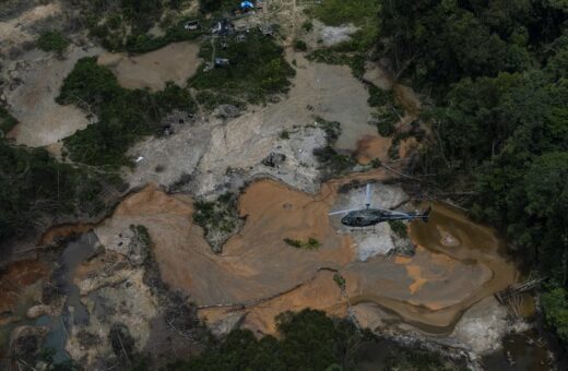 Desmatamento causado por garimpo caiu 95% na terra Yanomami - Foto: Divulgação/ Ibama