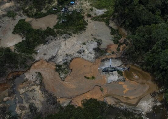 Desmatamento causado por garimpo caiu 95% na terra Yanomami - Foto: Divulgação/ Ibama