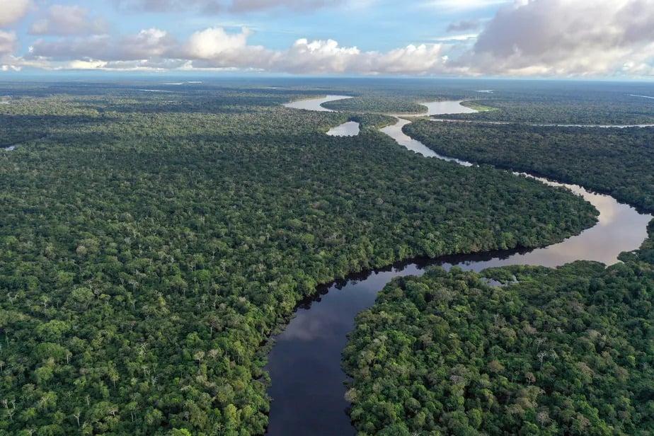 A Câmara dos Deputados vai debater sobre a exploração de petróleo e gás na foz do rio Amazonas nesta quarta-feira (29) -Foto: Getty Imagens