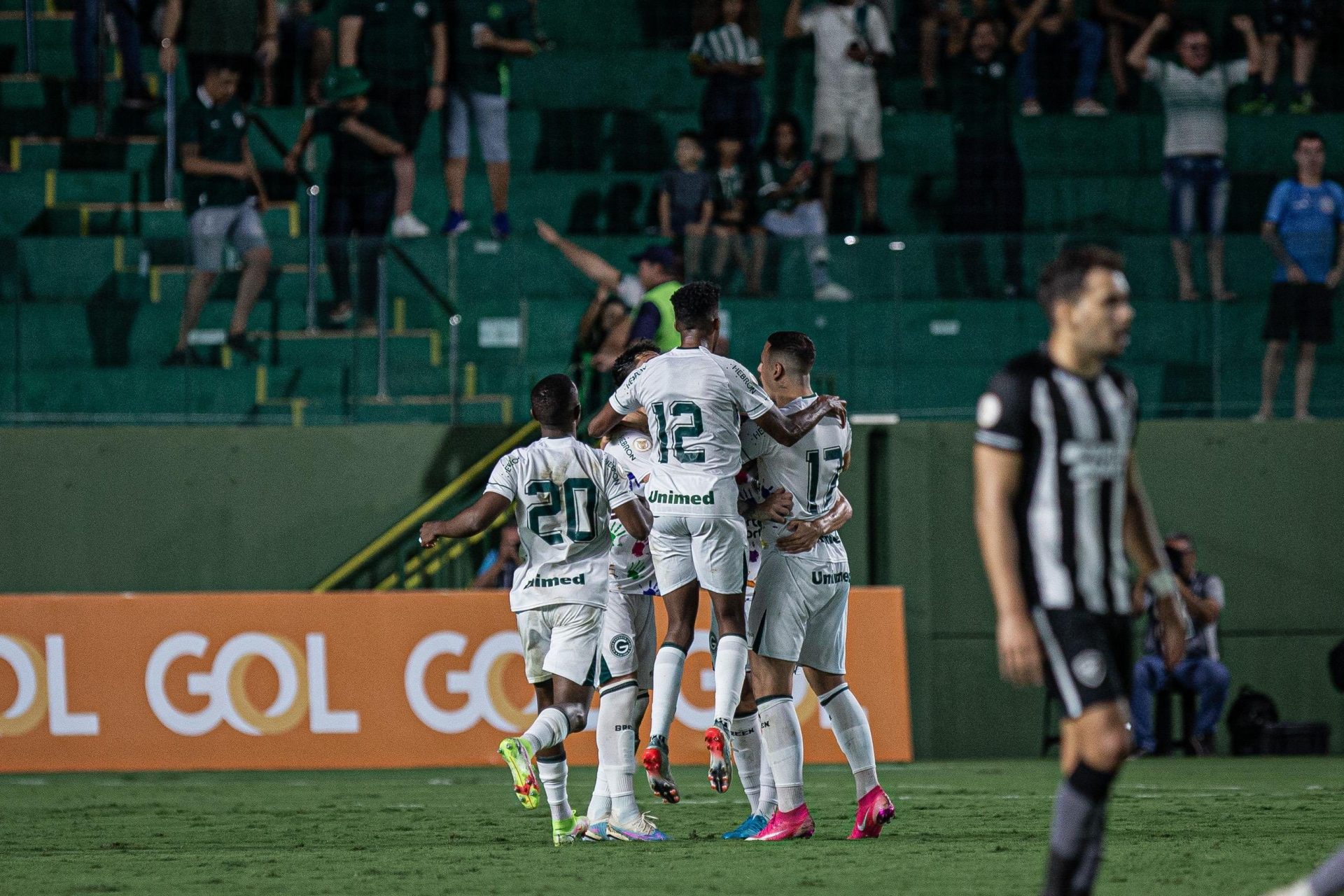 O Botafogo permanece na liderança mesmo com derrota - Foto: Reprodução/Twitter @Brasileirao