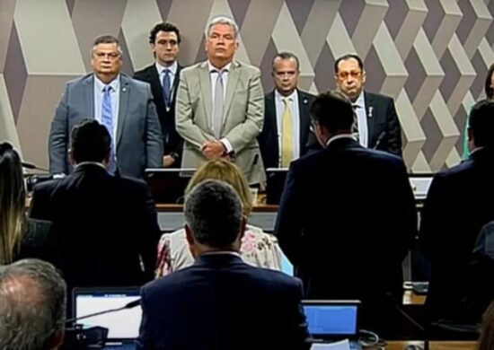 Senadores fazem homenagem à Rita Lee - Foto: reprodução/TV Senado