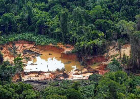 Corpo foi achado em área Yanomami onde garimpeiros foram assassinados - Foto: Leo Otero/MPI