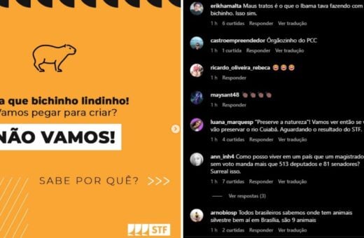 Campanha do STF com Ibama nas redes sociais - Foto: Reprodução/instagram/@suprenotribunalfederal