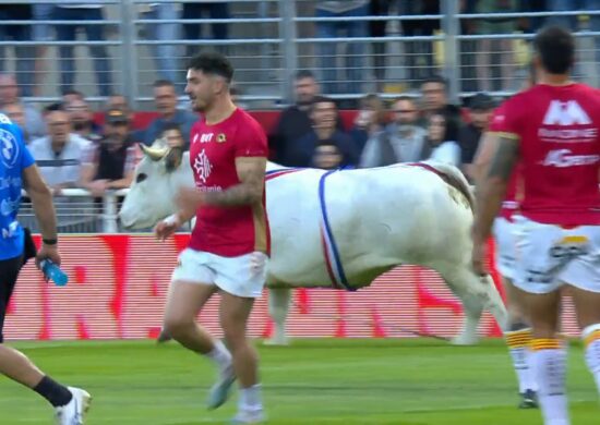 Touro era pra aparecer apenas no final, em desfile de honra, porém fugiu - Foto: Reprodução/Twitter @SkySportsRL