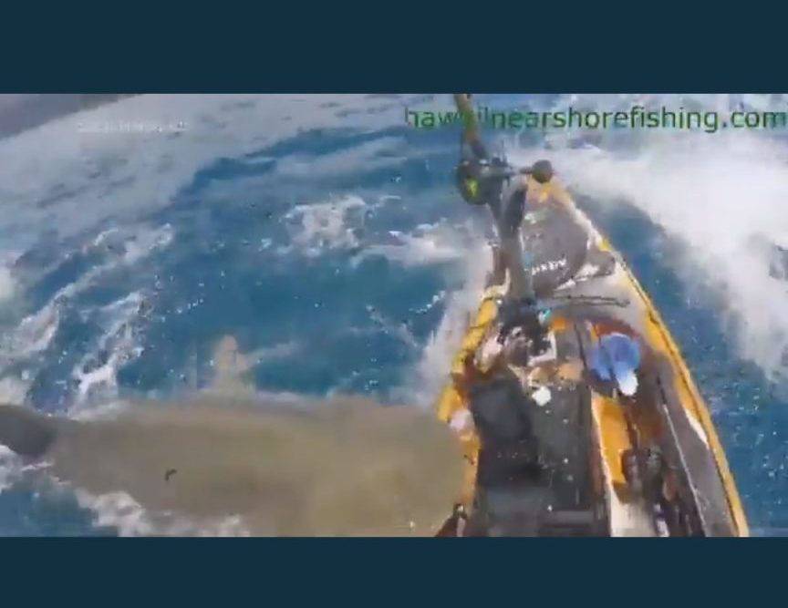 video-ataque-de-tubarao-pescador-caiaque-havai-foto-reproducao-takingouttrash7