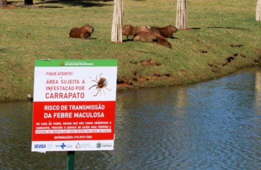 Placas de sinalização alertam visitantes do Parque das Águas em Campinas, no interior de São Paulo, sobre a presença de carrapatos. A cidade registrou seis mortes por febre maculosa, sendo três moradores do município - Foto: Luciano Claudino/Código19/Estadão Conteúdo