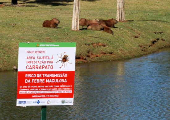 Placas de sinalização alertam visitantes do Parque das Águas em Campinas, no interior de São Paulo, sobre a presença de carrapatos. A cidade registrou seis mortes por febre maculosa, sendo três moradores do município - Foto: Luciano Claudino/Código19/Estadão Conteúdo