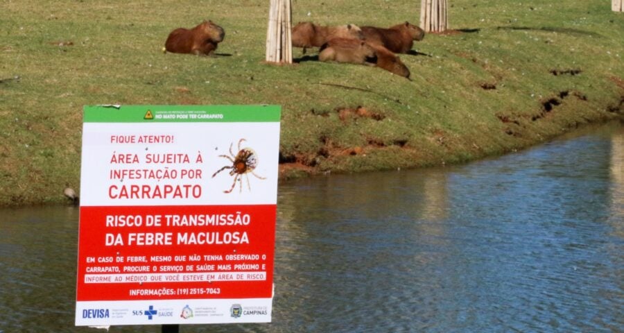 Placas de sinalização alertam visitantes do Parque das Águas em Campinas, no interior de São Paulo, sobre a presença de carrapatos. A cidade registrou seis mortes por febre maculosa, sendo três moradores do município - Foto: Luciano Claudino/Código19/Estadão Conteúdo