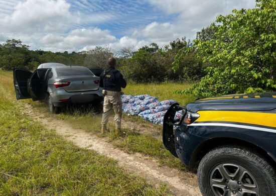 Alho contrabandeado vinha da Guiana , segundo polícia - Foto: Divulgação/PRF