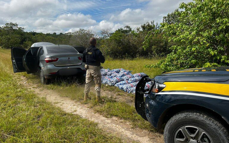 Alho contrabandeado vinha da Guiana , segundo polícia - Foto: Divulgação/PRF