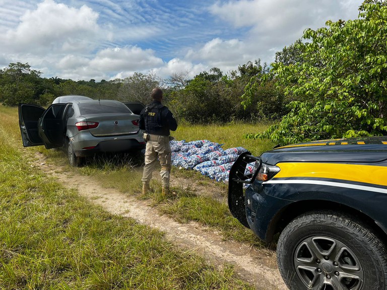 Alho contrabandeado vinha da Guiana , segundo polícia - Foto: Divulgação/PRF