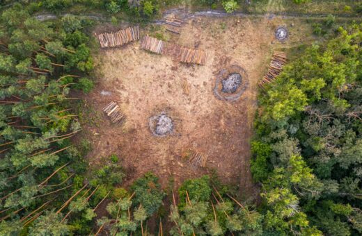 Trilhões gastados em recursos degradantes podem combater mudanças climáticas