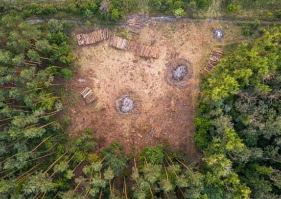 Trilhões gastados em recursos degradantes podem combater mudanças climáticas