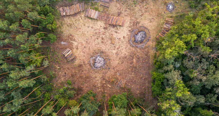 Trilhões gastados em recursos degradantes podem combater mudanças climáticas