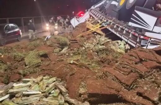 Caminhão transportava maconha entre carga de grama - Foto: Reprodução/WhatsApp