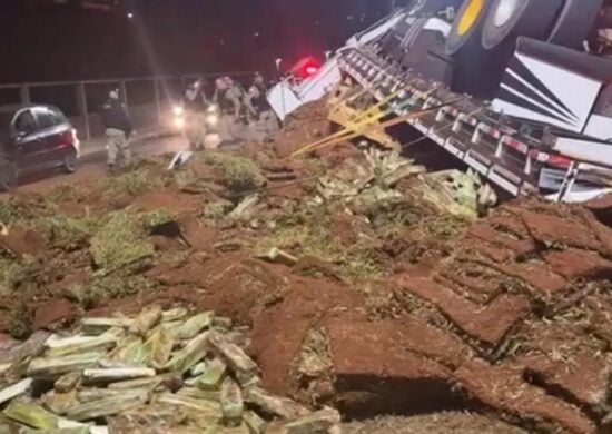 Caminhão transportava maconha entre carga de grama - Foto: Reprodução/WhatsApp