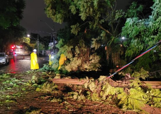 Ciclone deixou rastro de destruição em cidades do sul do país - Foto: Reprodução/Twitter @prefeitura_POA