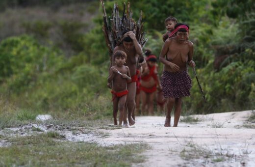 Comissão foi criada para analisar "in loco" situação do povo Yanomami - Foto: Fernando Frazão/Agência Brasil