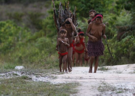 Comissão foi criada para analisar "in loco" situação do povo Yanomami - Foto: Fernando Frazão/Agência Brasil