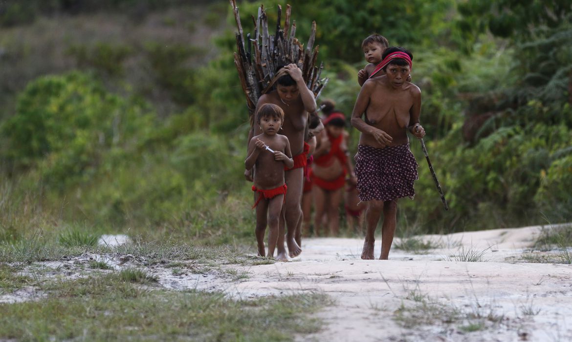 Comissão foi criada para analisar "in loco" situação do povo Yanomami - Foto: Fernando Frazão/Agência Brasil