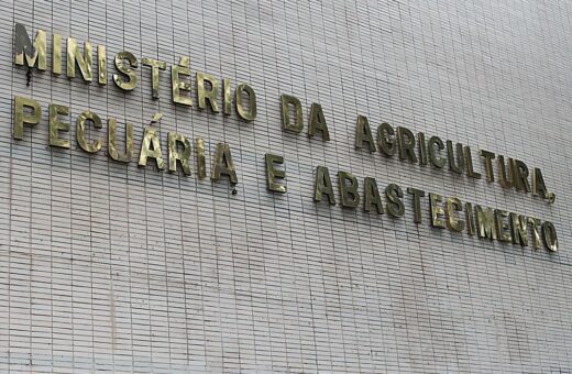 Confirmação de novo caso de gripe aviária foi divulgada nesta segunda (12) - Foto: Wilson Dias/Agência Brasil