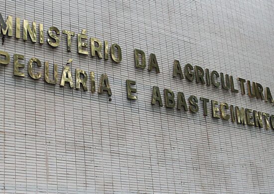 Confirmação de novo caso de gripe aviária foi divulgada nesta segunda (12) - Foto: Wilson Dias/Agência Brasil