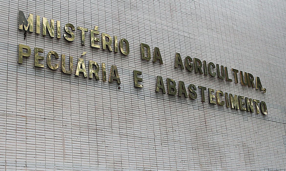 Confirmação de novo caso de gripe aviária foi divulgada nesta segunda (12) - Foto: Wilson Dias/Agência Brasil