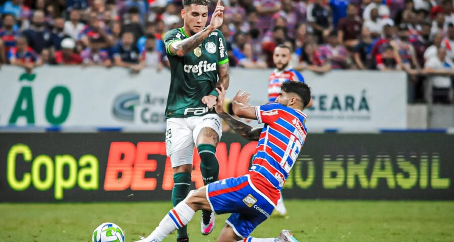 Palmeiras tem desfalque, após Rafael Navarro ser diagnosticado com edema na coxa - Foto: Reprodução/Twitter @mmurilodias