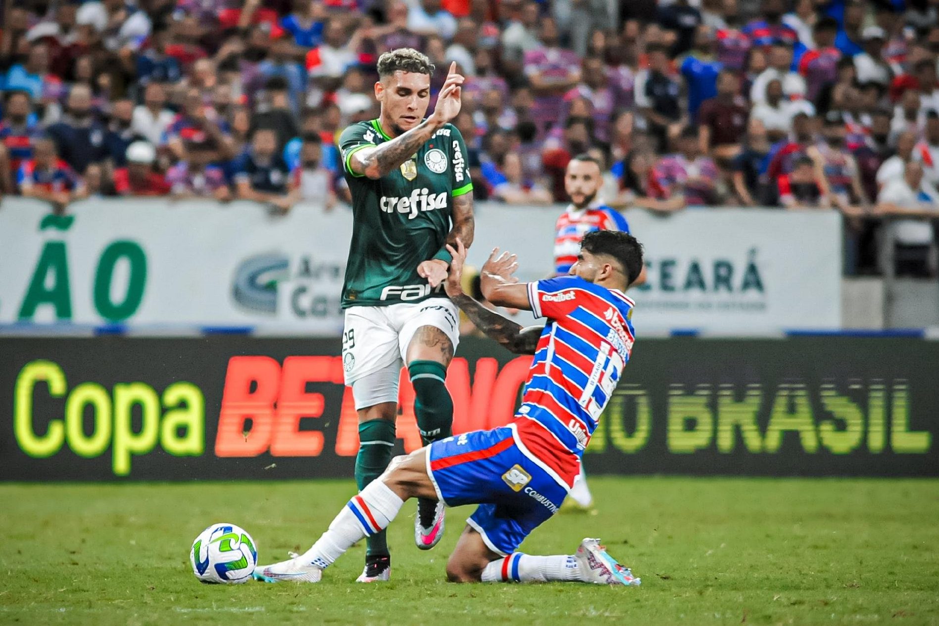 Palmeiras tem desfalque, após Rafael Navarro ser diagnosticado com edema na coxa - Foto: Reprodução/Twitter @mmurilodias