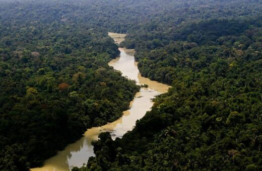 Região do Vale do Javari é reconhecida pela forte atuação criminosa - Foto: Leonardo Milano/ICMBio