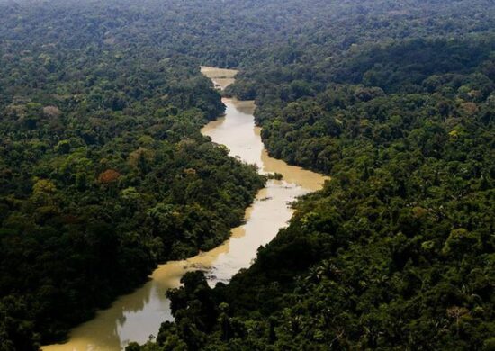 Região do Vale do Javari é reconhecida pela forte atuação criminosa - Foto: Leonardo Milano/ICMBio