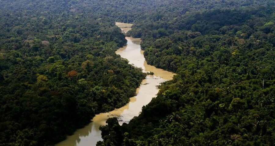 Região do Vale do Javari é reconhecida pela forte atuação criminosa - Foto: Leonardo Milano/ICMBio