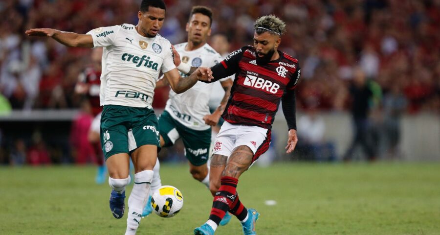 Flamengo enfrenta Palmeiras pela 14ª rodada do Campeonato Brasileiro - Foto: Reprodução/ Gilvan de Souza/Flamengo