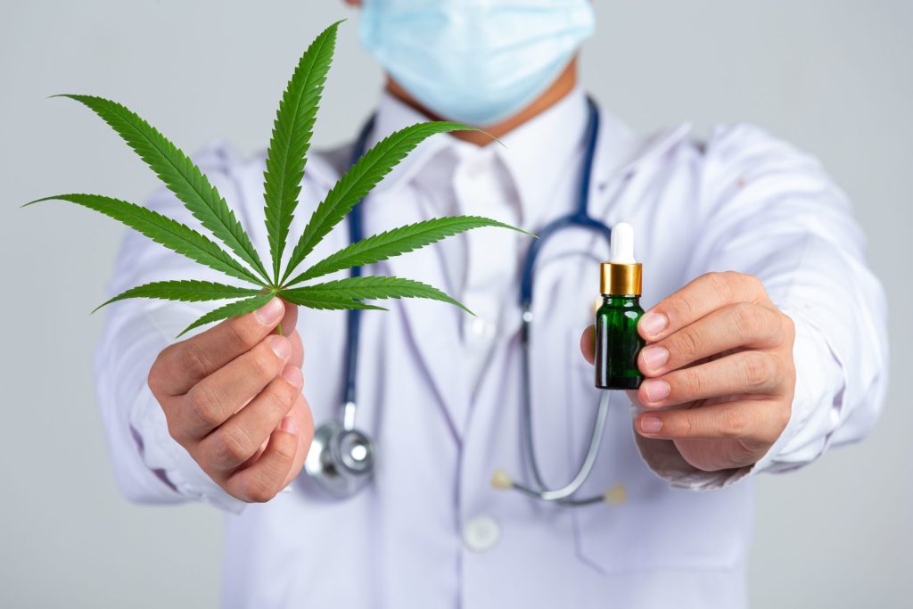 Anvisa proíbe importação de cannabis in natura e partes da planta