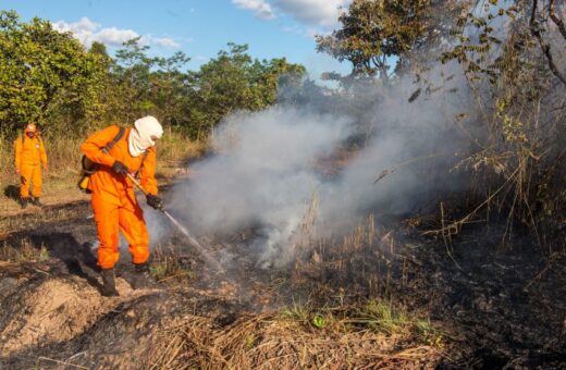 Terceirização e aumento de brigadistas fortalecem o combate às queimadas em Palmas