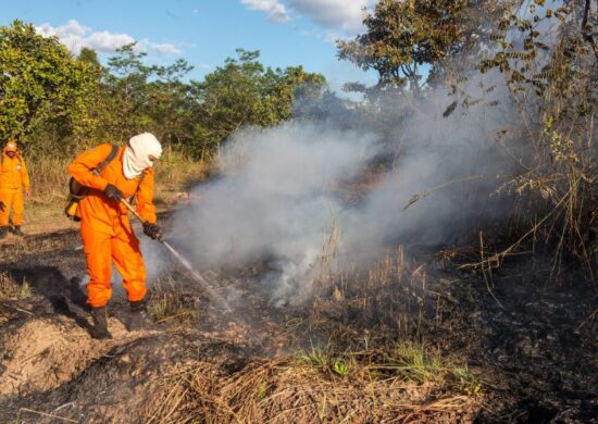 Terceirização e aumento de brigadistas fortalecem o combate às queimadas em Palmas