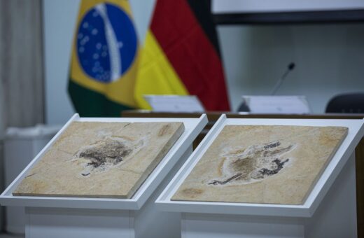 Cientistas brasileiros pedem volta de fóssil de dinossauro contrabandeado