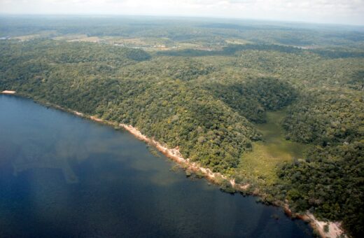 Mapeamento acontece em regiões do Amazonas - Foto: Divulgação/Secom