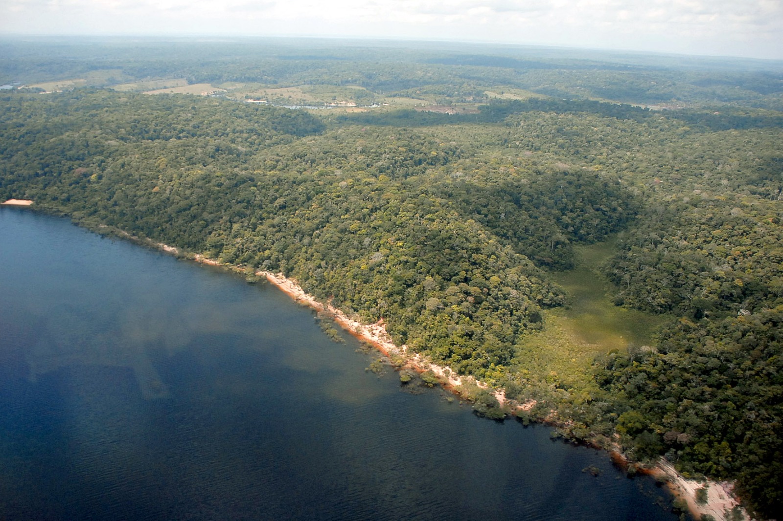 Mapeamento acontece em regiões do Amazonas - Foto: Divulgação/Secom