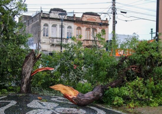 Ciclone que atinge região Sul provoca ventania em São Paulo - Foto: Eduardo Rodrigues/Agência Pixel Press/Estadão Conteúdo