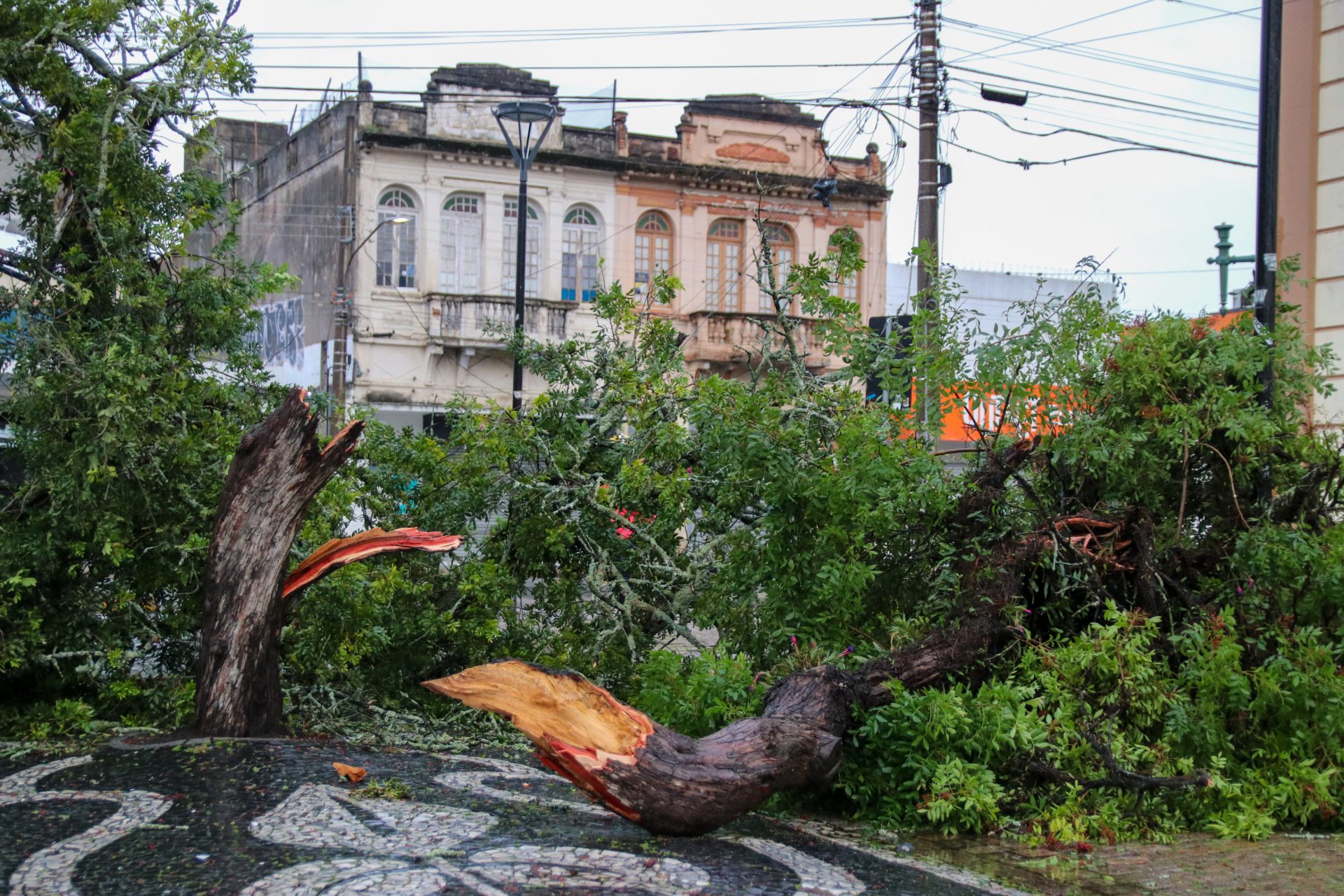 Ciclone que atinge região Sul provoca ventania em São Paulo - Foto: Eduardo Rodrigues/Agência Pixel Press/Estadão Conteúdo