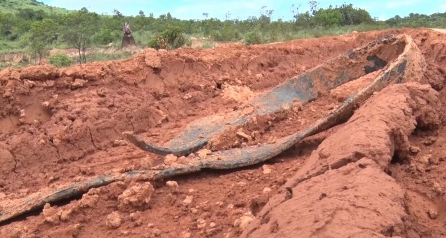 Estrada que dá acesso ao município de Uiramutã