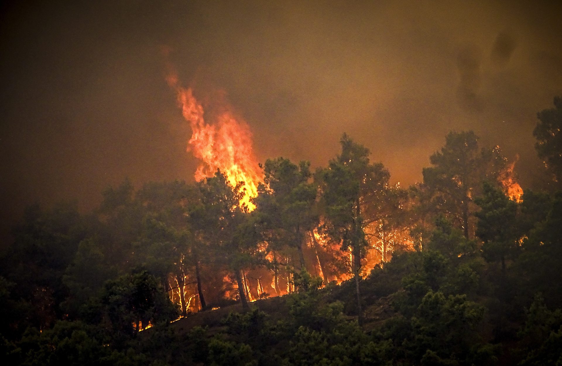 Incêndio na Grécia avança pelo 5º dia e autoridades ordenam evacuação