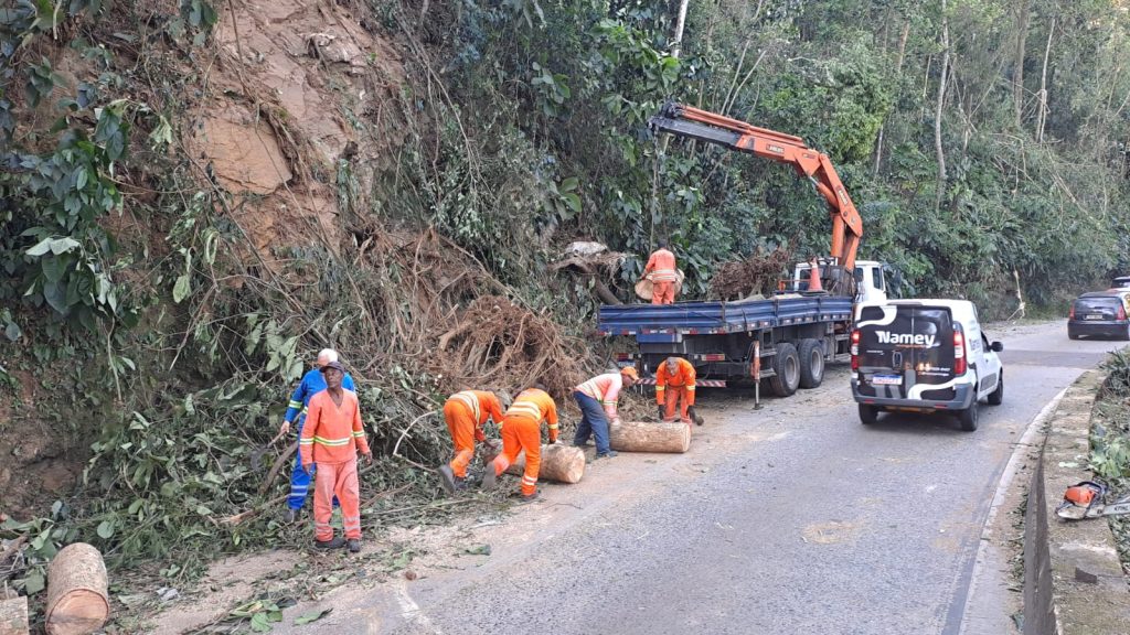 Quedas de árvores interditam subida da serra de Petrópolis - Foto: Concer
