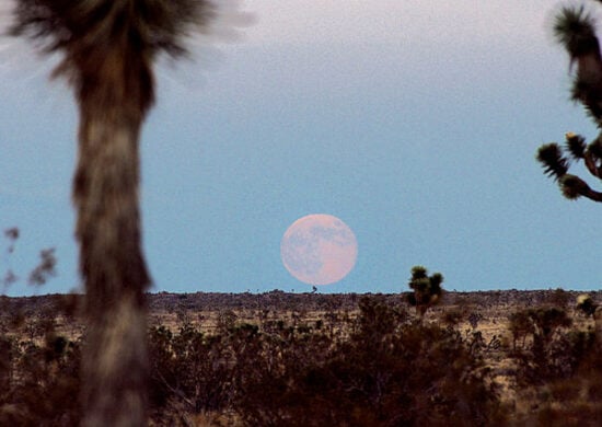 Agosto terá duas superluas - Foto: Reprodução/Wikimedia/Joshua Tree National Park